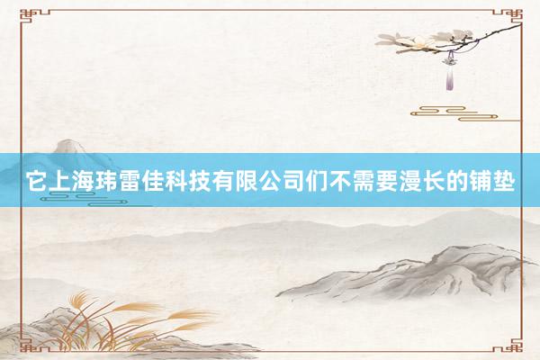 它上海玮雷佳科技有限公司们不需要漫长的铺垫