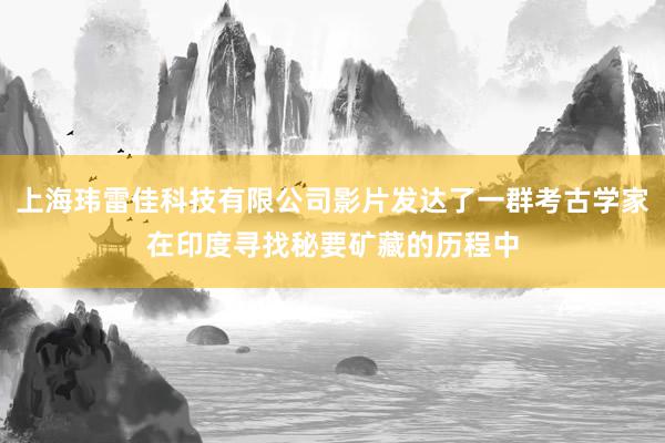 上海玮雷佳科技有限公司影片发达了一群考古学家在印度寻找秘要矿藏的历程中