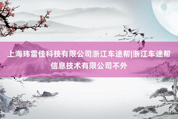 上海玮雷佳科技有限公司浙江车途帮|浙江车途帮信息技术有限公司不外