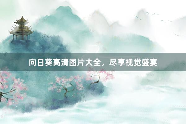 向日葵高清图片大全，尽享视觉盛宴
