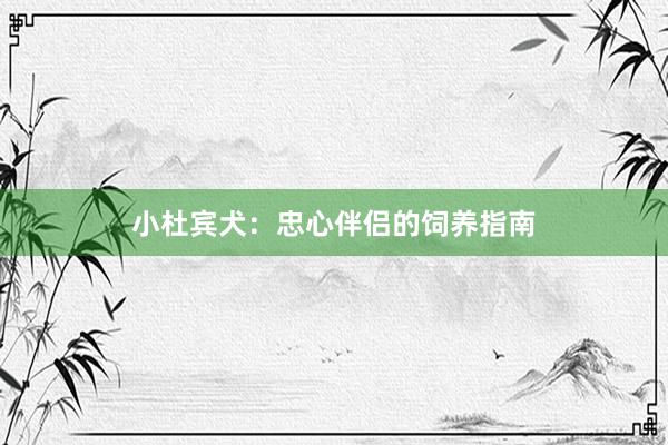 小杜宾犬：忠心伴侣的饲养指南